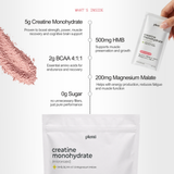 Creatina Monohidratada + HMB, BCAA 4:1:1, Malato de Magnesio (30 Porciones)